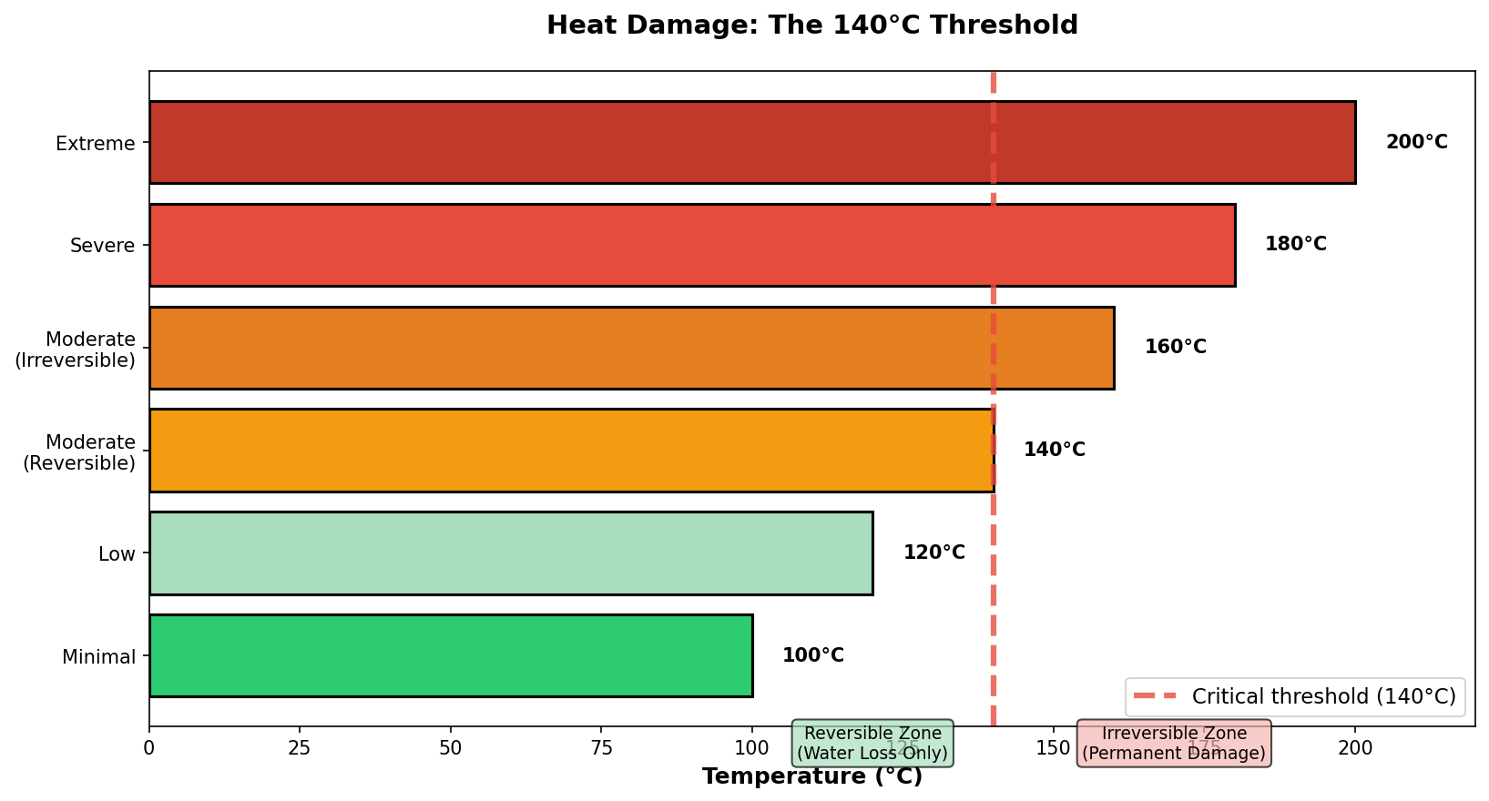 Elasticity loss showing 28% decrease from 50% to 80% humidity