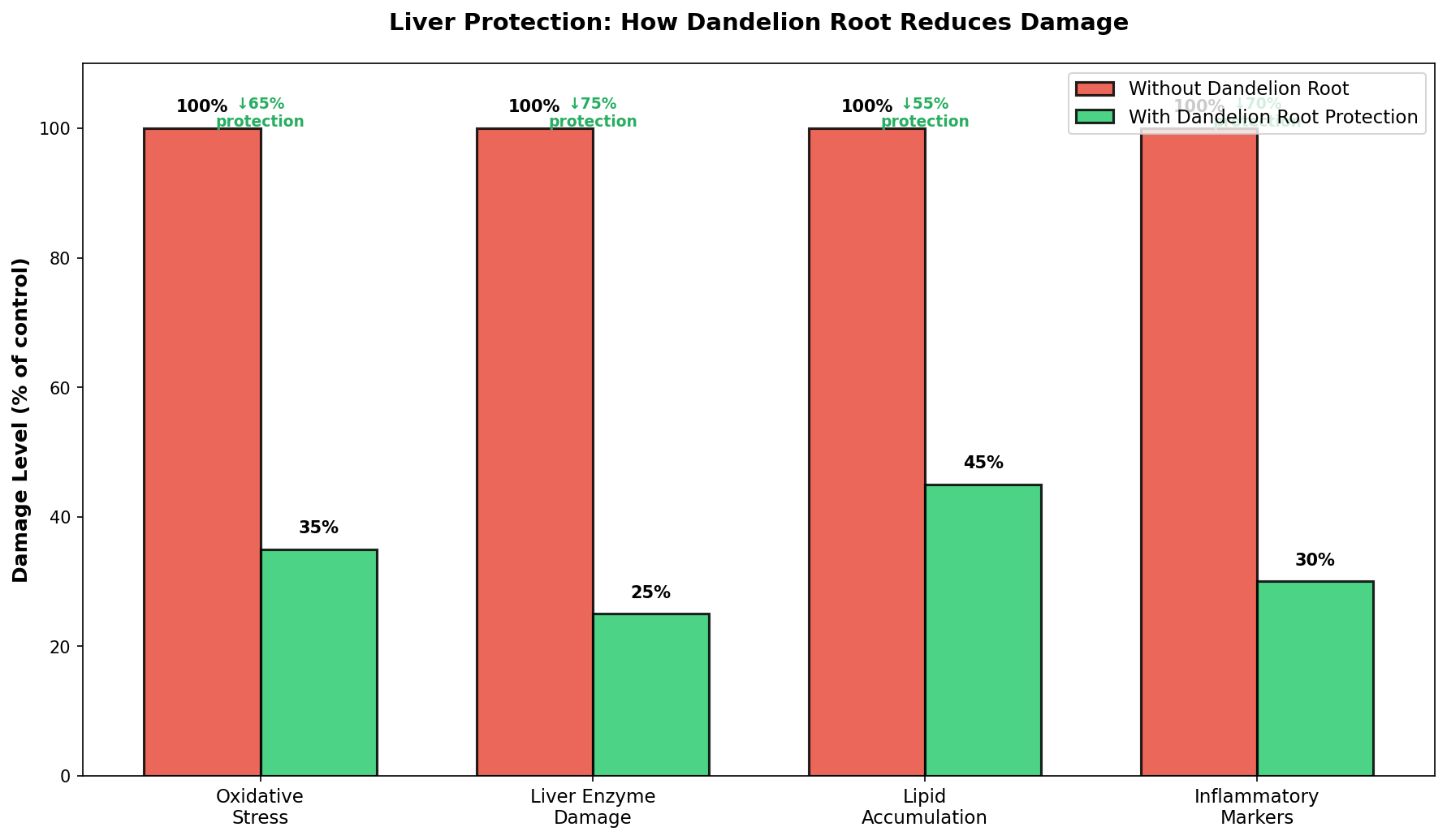 Liver protection from dandelion root