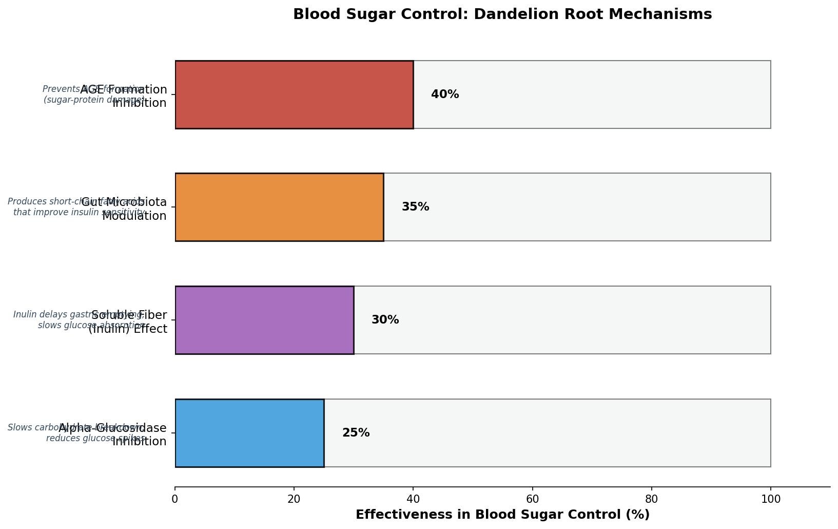Blood sugar control mechanisms