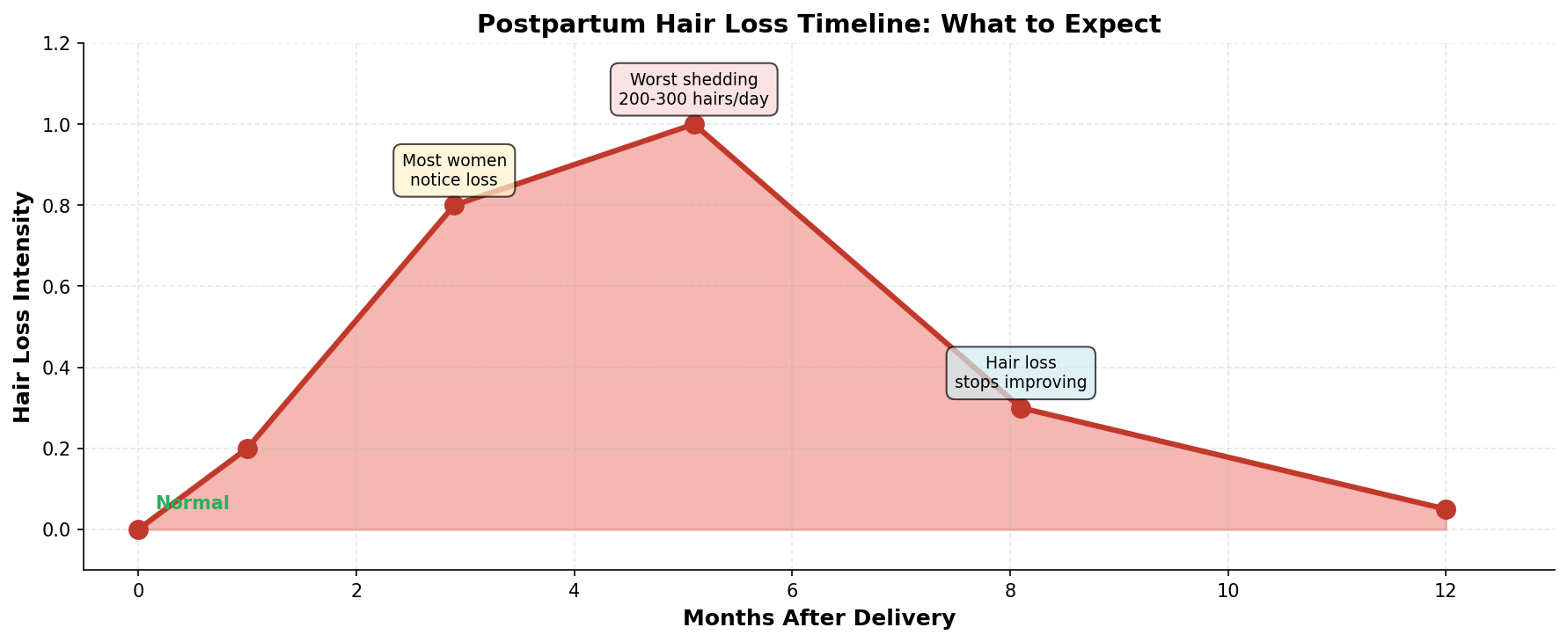 Postpartum Hair Loss Timeline