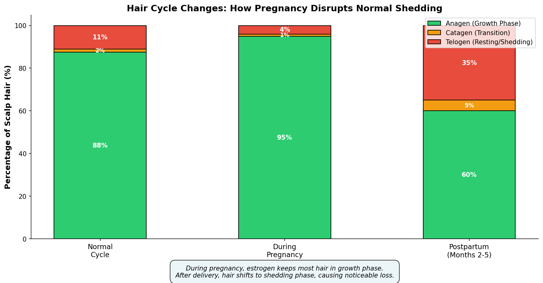 Hair Cycle Changes During and After Pregnancy