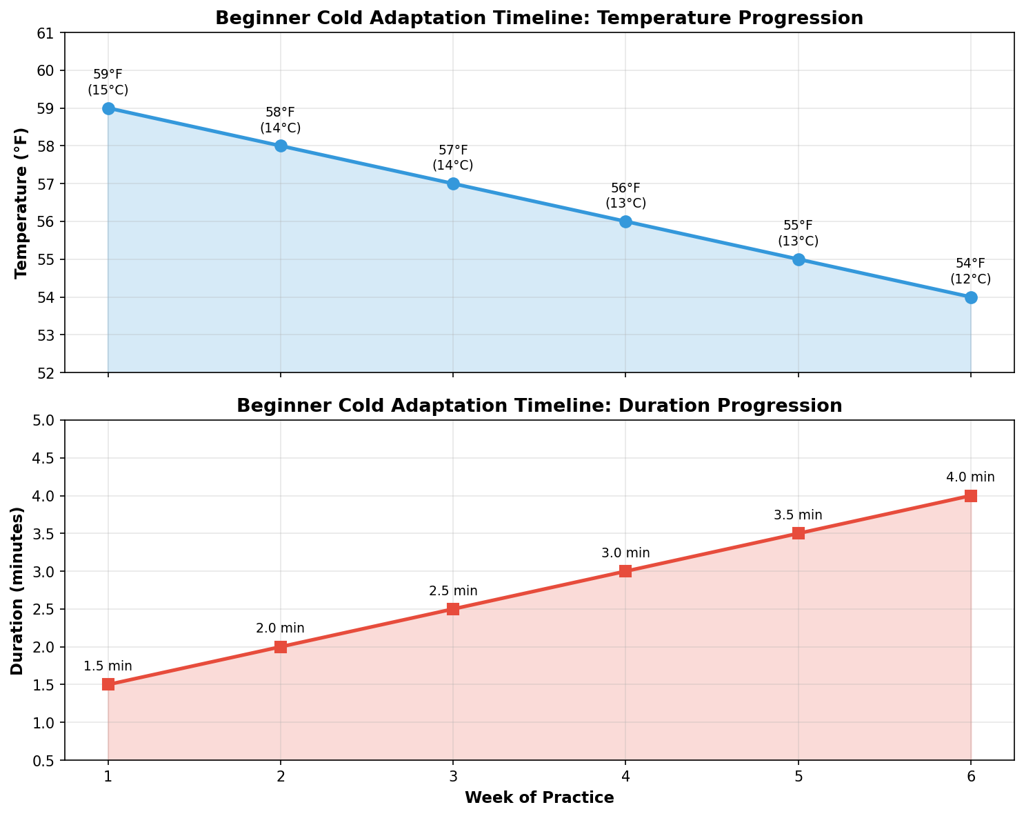 Beginner Progression Timeline