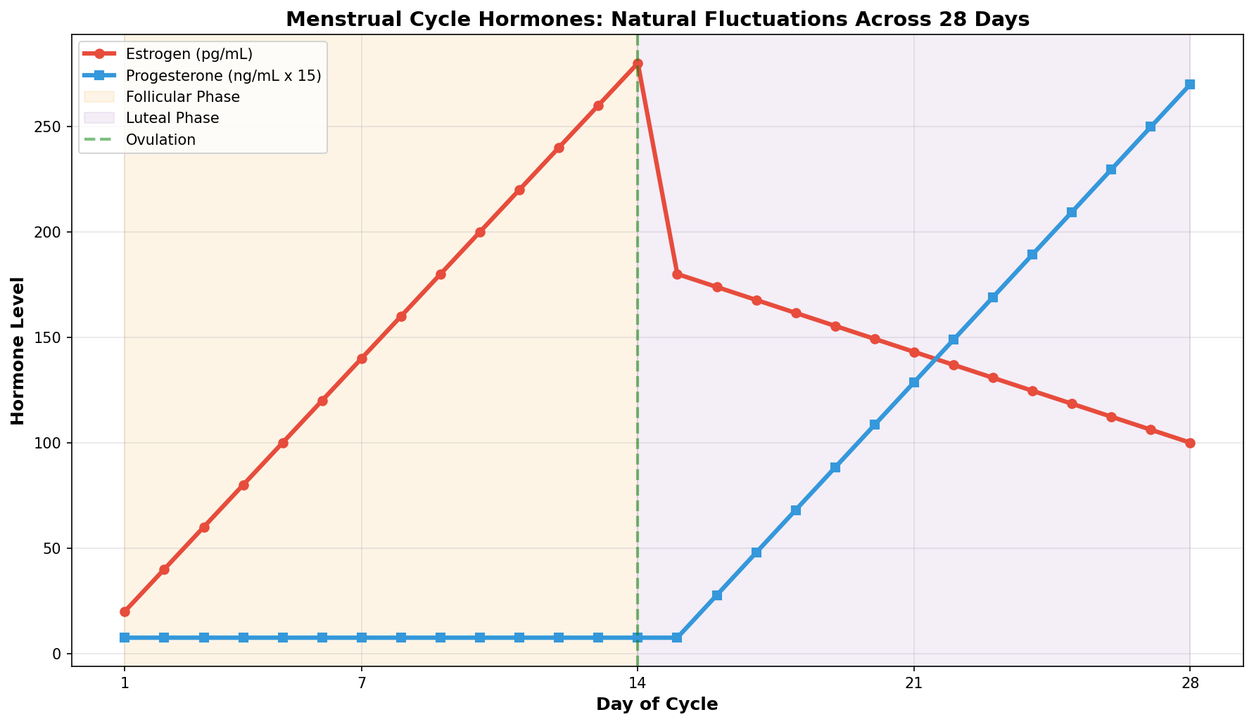 Menstrual cycle hormones showing natural fluctuations across 28 days