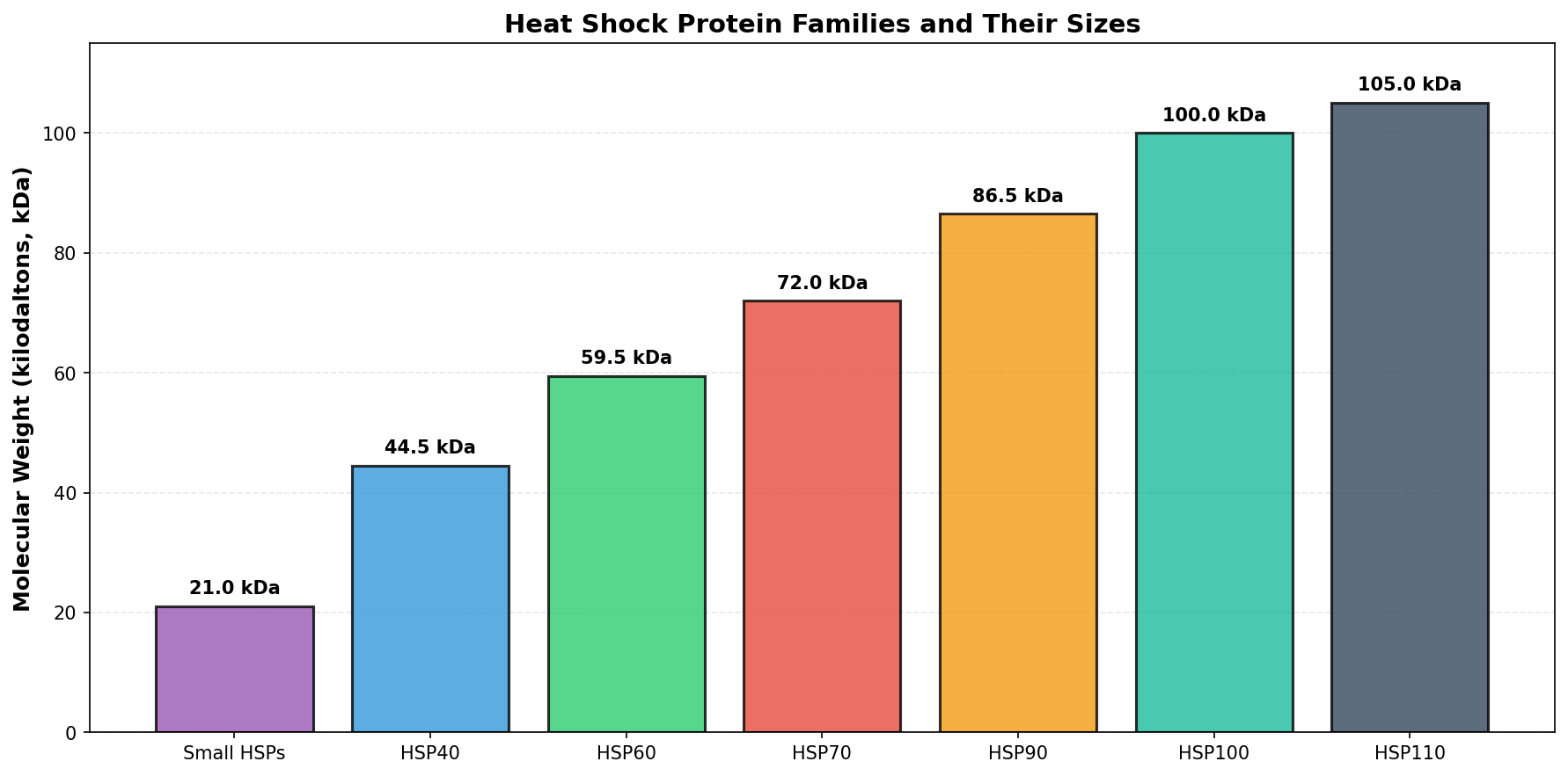 How long HSP elevation persists after heat exposure