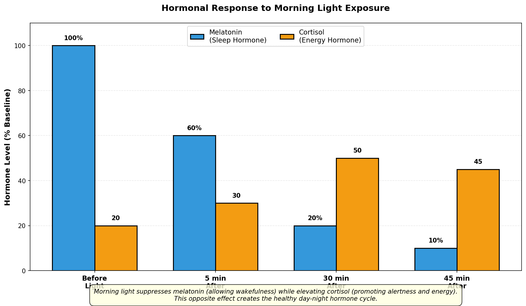 Health benefits of morning light exposure across multiple outcomes