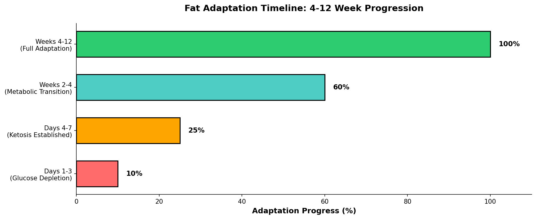 Adaptation Timeline showing four phases over 12 weeks