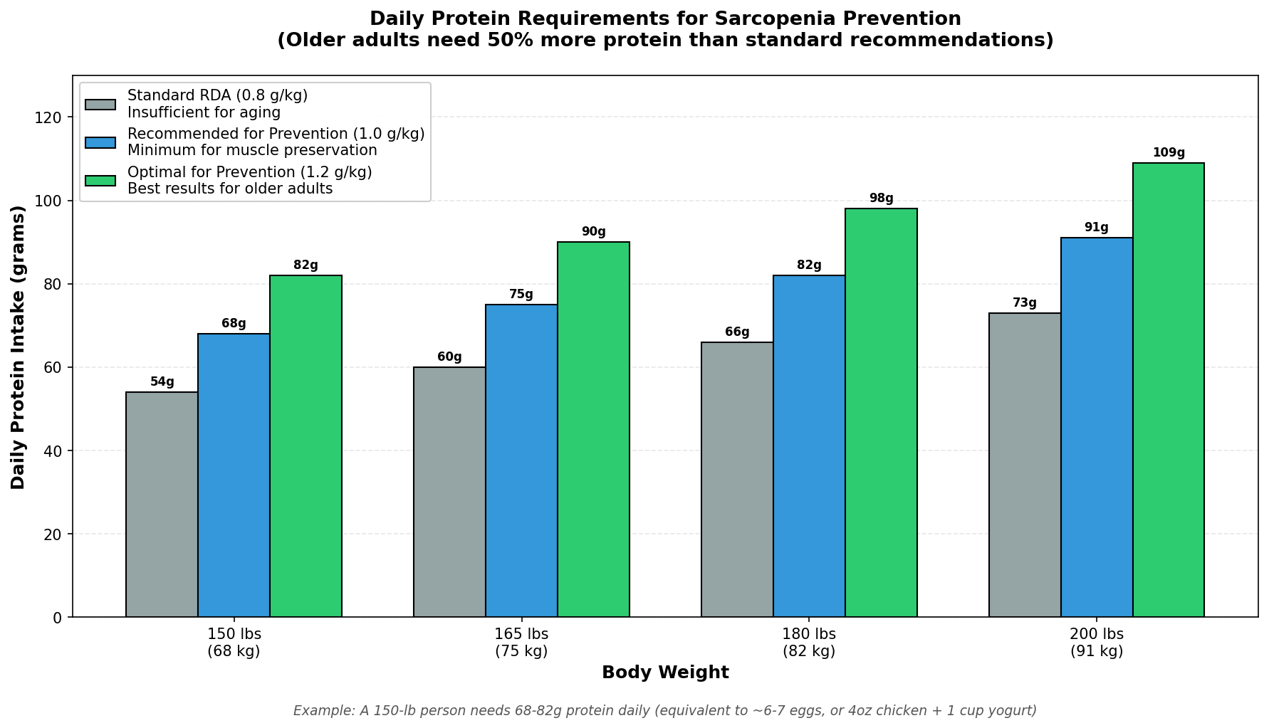 Training progression timelines show results appear gradually: strength in weeks 1-2 from neuromuscular adaptation, visible muscle growth by week 8-12, and significant improvements by 6 months