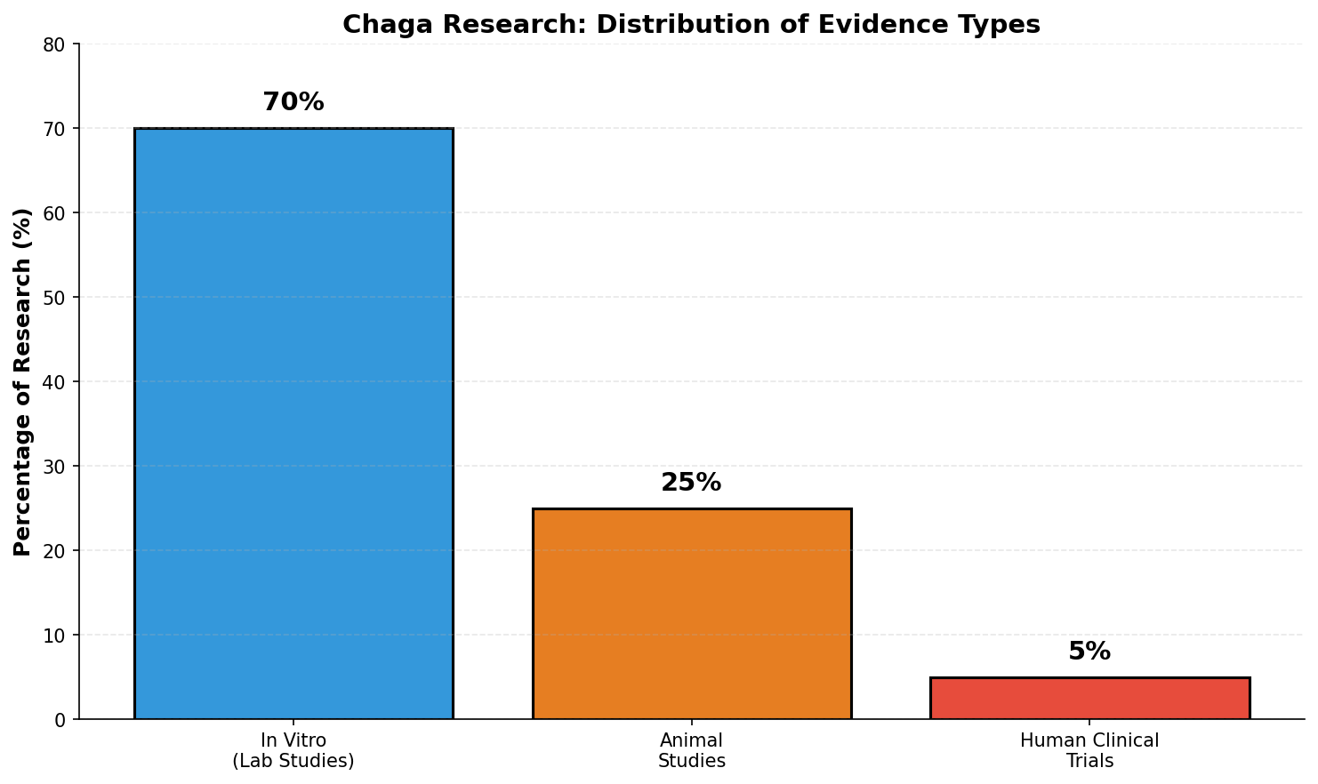 Bioactive compounds comparison across medicinal mushrooms