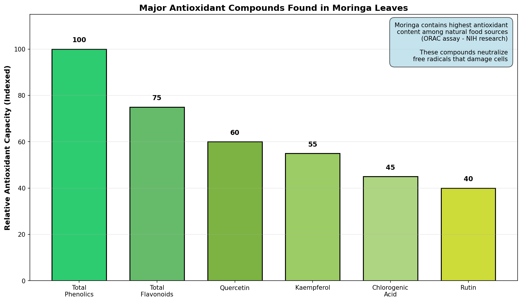 Moringa vs Common Foods: Nutritional Comparison (per 100g)