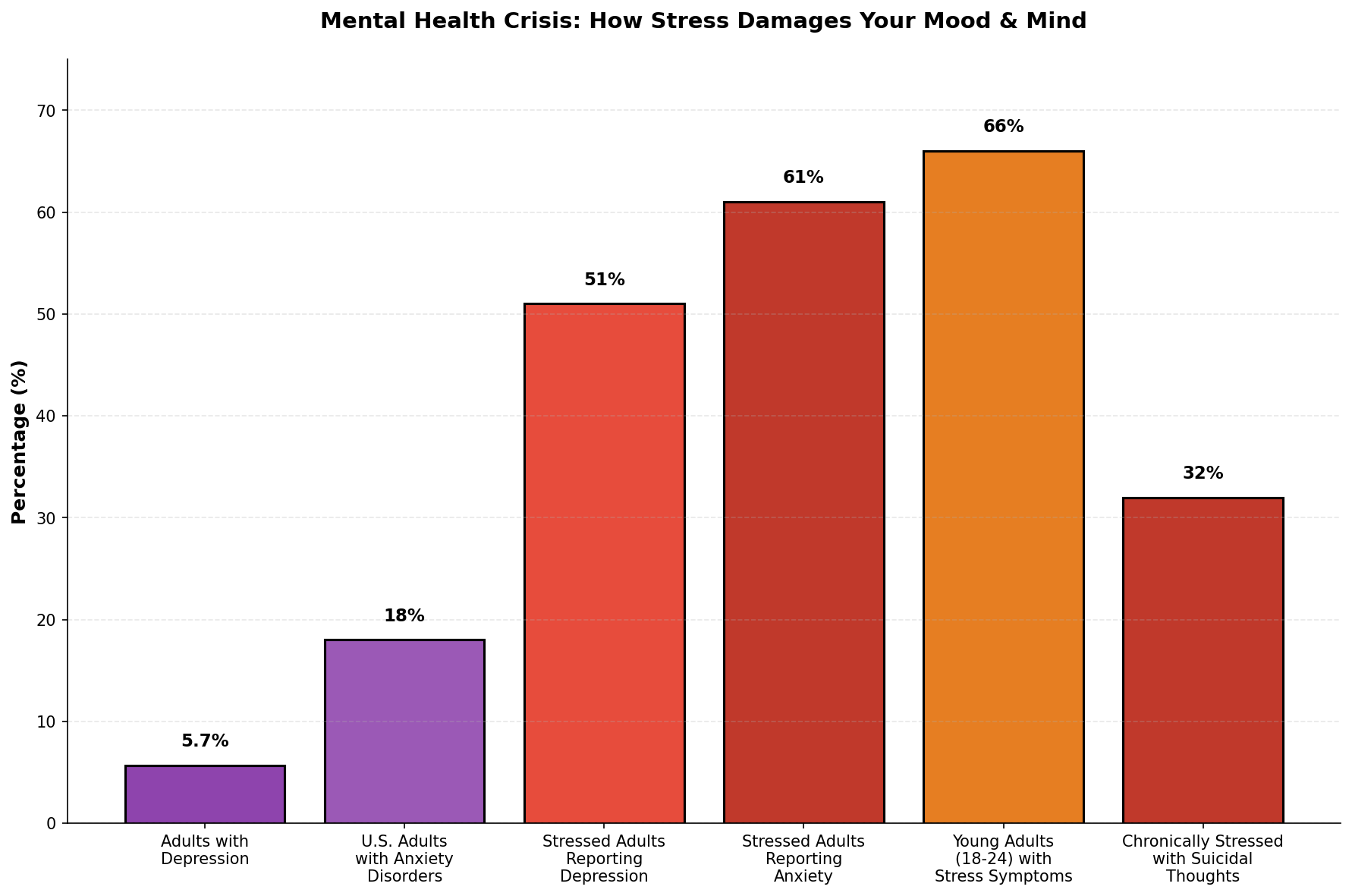 Meditation's real impact on cortisol