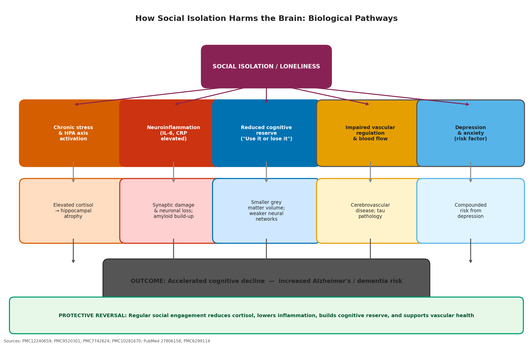 Demographic disparities in social isolation and dementia risk