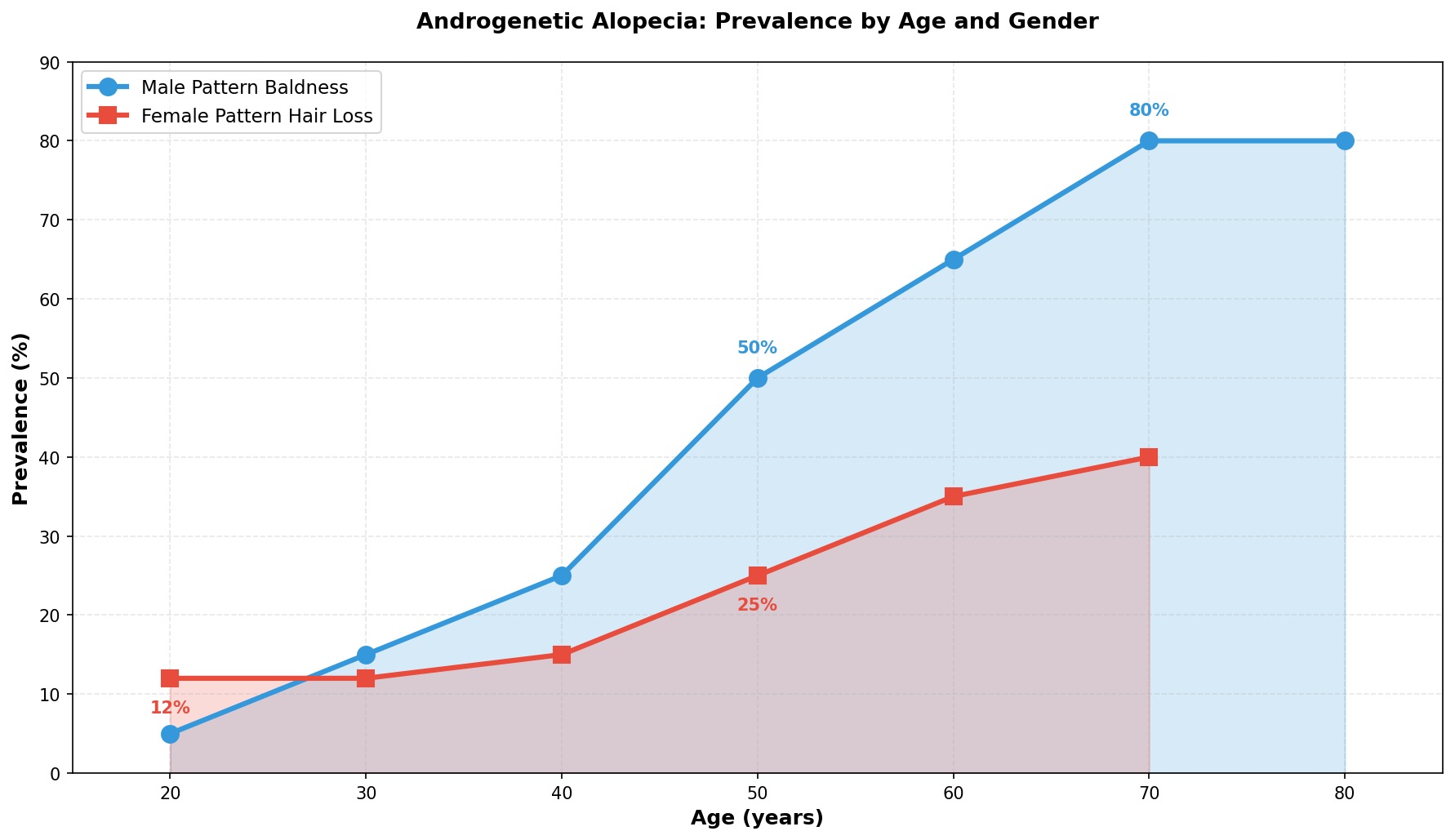 Hair growth cycle phases distribution and timeline